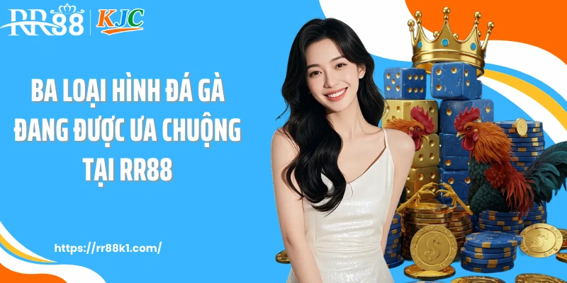 Ba loại hình đá gà đang được ưa chuộng tại RR88